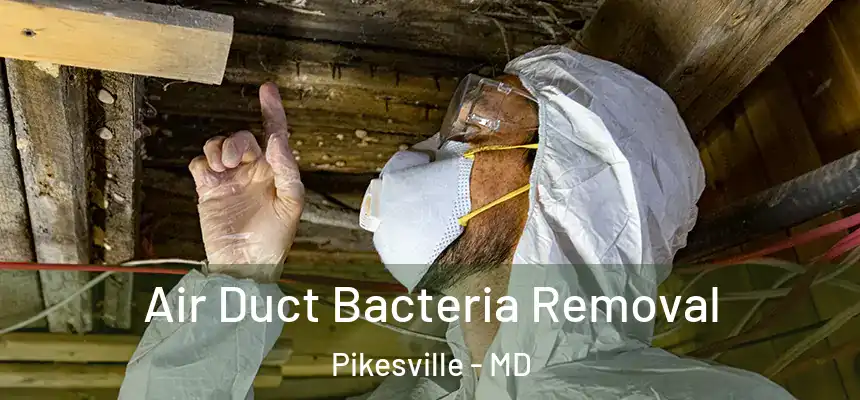  Air Duct Bacteria Removal Pikesville - MD