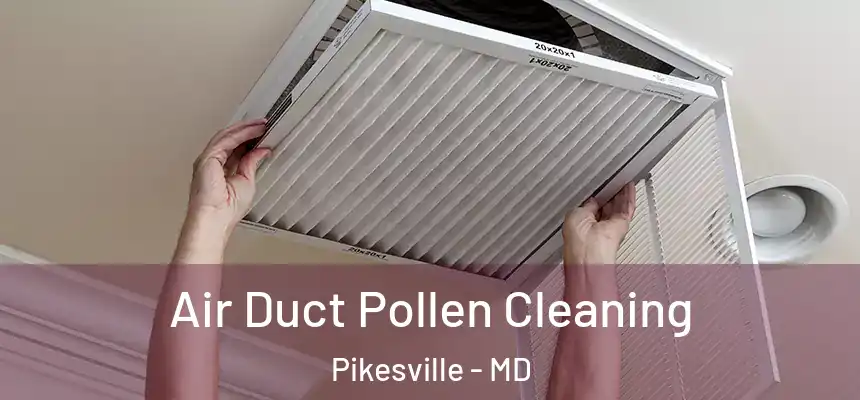Air Duct Pollen Cleaning Pikesville - MD