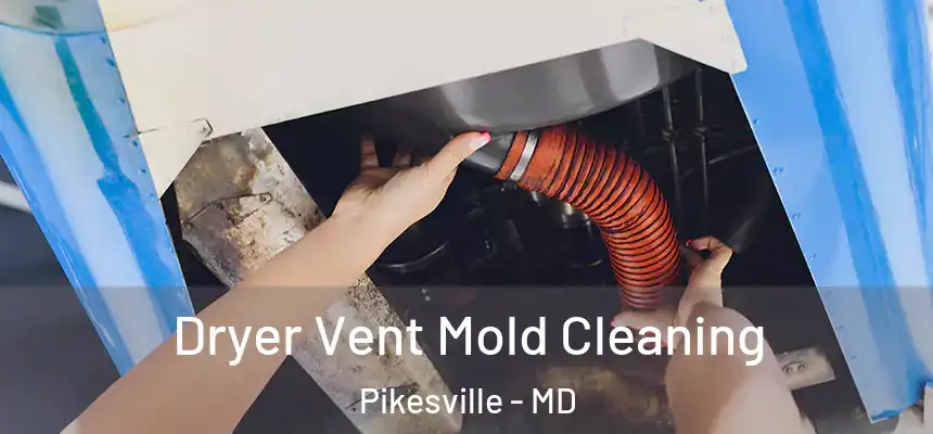 Dryer Vent Mold Cleaning Pikesville - MD