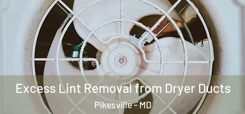 Excess Lint Removal from Dryer Ducts Pikesville - MD