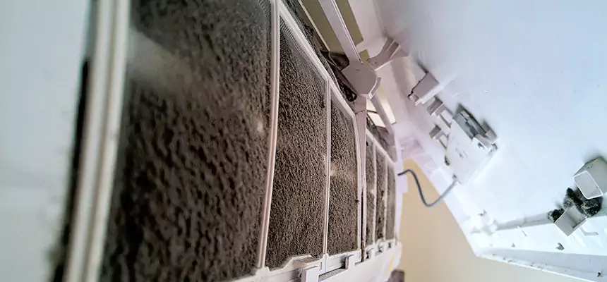 Preventive Air Duct Bacteria Removal in Pikesville