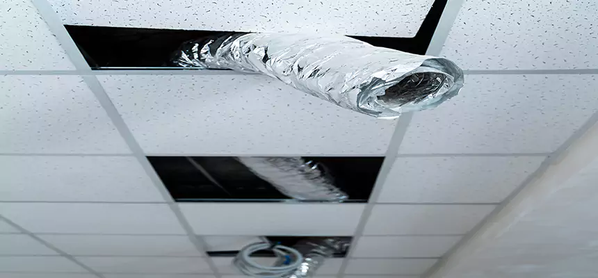 Affordable HVAC Sanitizing After Pest Removal in Pikesville