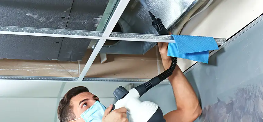 Our Air Duct Rodent Removal Services in Pikesville, MD