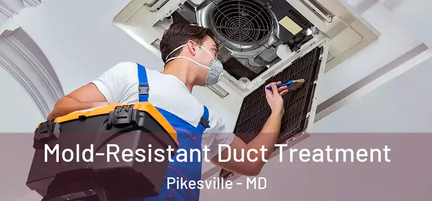 Mold-Resistant Duct Treatment Pikesville - MD