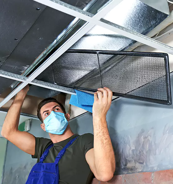 About Air Duct Bacteria Removal in Pikesville