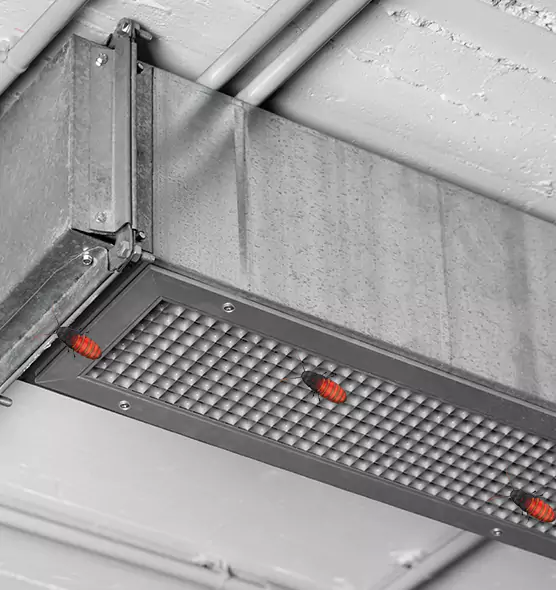 About Air Duct Cockroach Removal in Pikesville, MD