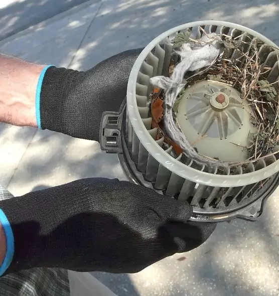 About Air Duct Mice Removal in Pikesville, MD