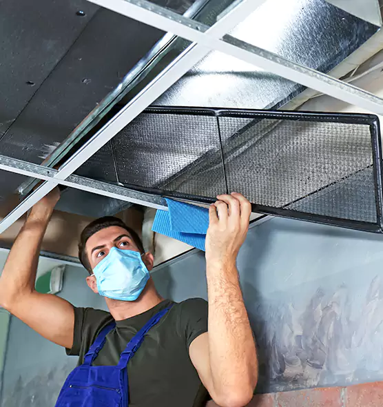 Professional Air Duct Pollen Cleaning in Pikesville, MD