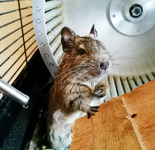 Why Homeowners & Businesses Trust Us Pikesville, MD?