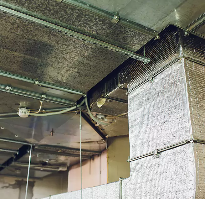 Why Homeowners & Businesses Trust Us in Pikesville, MD?